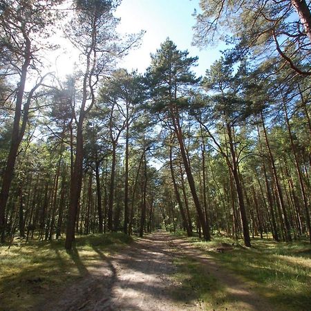 M&K Apartamenty - Morska Przystan Гданьск Экстерьер фото